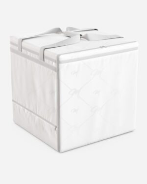 Mockup Bolsa Térmica Delivery Superfície Neutra - Mockup PSD Mockups de Objetos Editável Mockup Bolsa Térmica Delivery Superfície Neutra - Mockup PSD Mockups de Objetos Editável